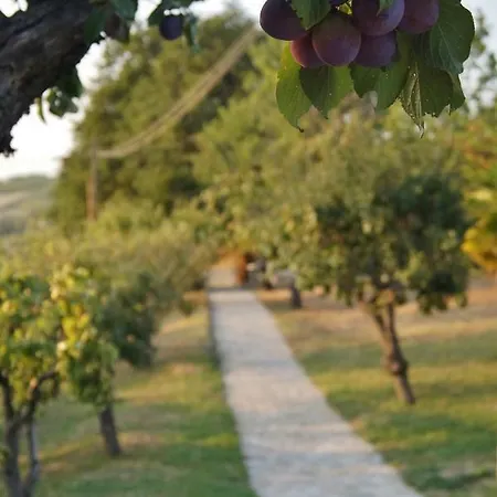 La Teggia *